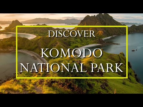Have you been to Komodo National Park? | VISIT KOMODO NATIONAL PARK