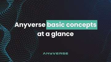 Anyverse basic concepts at a glance