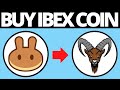 How to buy ibex crypto token on pancakeswap