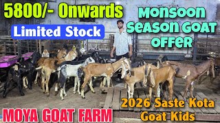 5800/- Onwards Monsoon Season Offer At MOYA GOAT FARM | 2026 Saste Kota Kids In Bhiwandi 