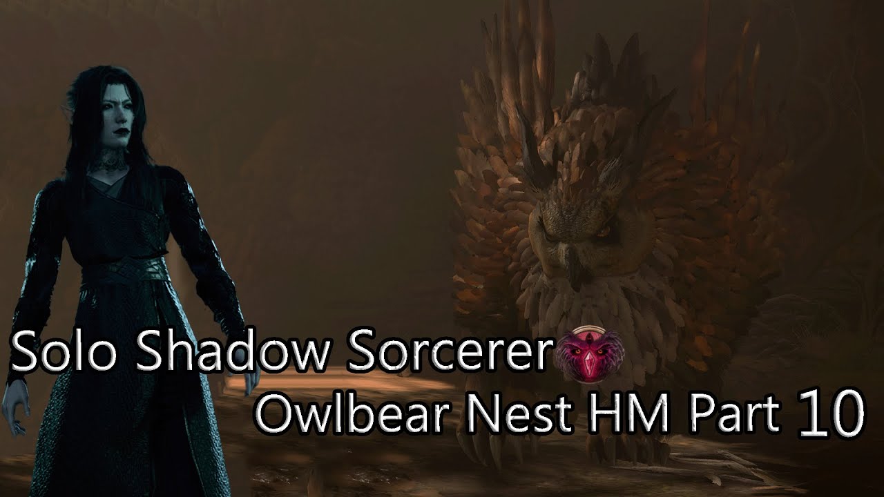 Solo Shadow Sorcerer Owlbear Nest HM Part 10