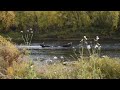 Окрестности поселка Водный. Северная осень. Neighborhood of Vodny village. The northern autumn.