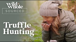 Truffle Hunting | Wild + Whole Sourced