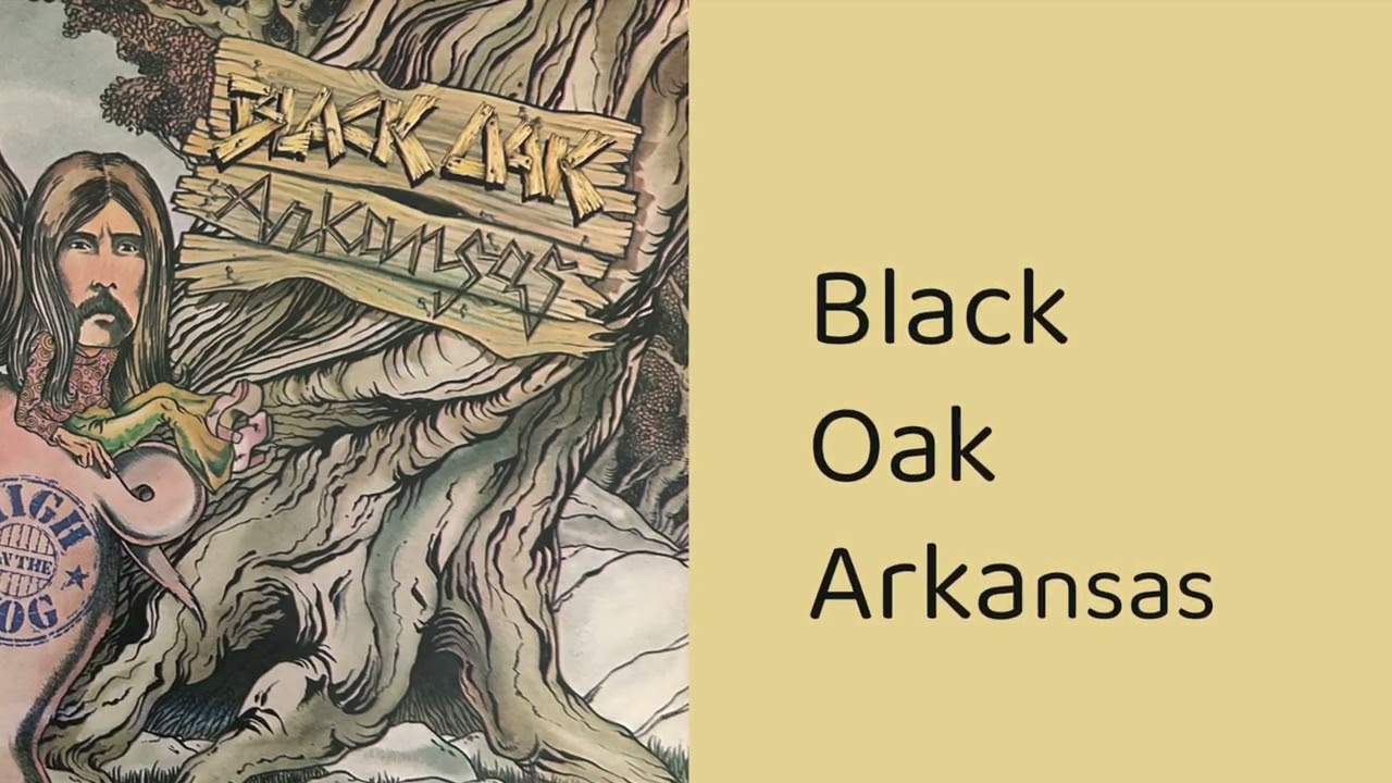 BLACK OAK ARKANSAS - Red Hot Lovin (from High on the Hog LP)