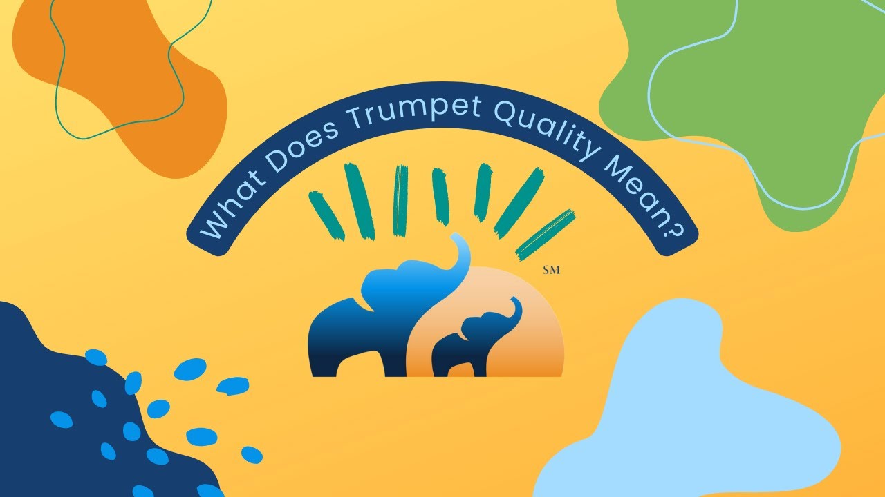 Trumpet Behavioral Health Guaranteed Scheduling Program YouTube