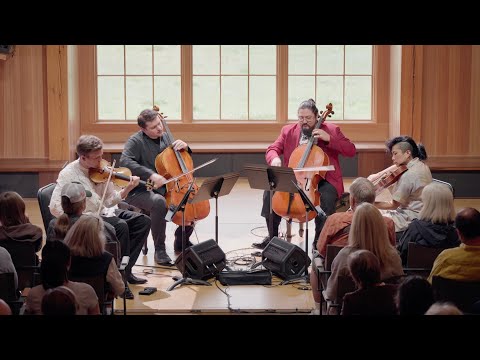 Barber: Adagio for Strings - Owls