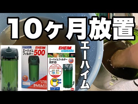 10ヶ月ノーメンテの外部フィルター エーハイム2213と500 ピカピカとドロドロ アクアリウム 熱帯魚 Youtube