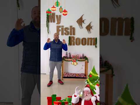Desde My Fish Room os deseamos unas muy felices fiestas 🎄🎁 😃👍 #acuariofilia #myfishroom