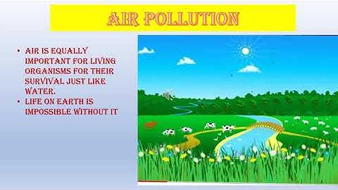 Air Pollution l EVS l CLASS-4 l DAPS-1 l Rohini