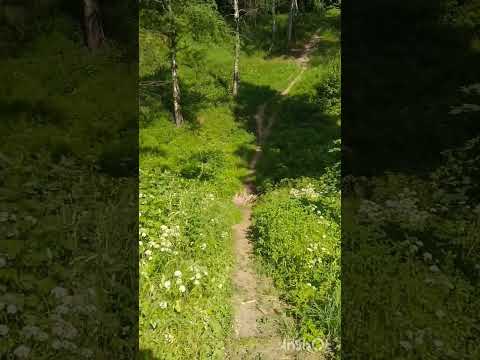 Большой овраг/Big ravine