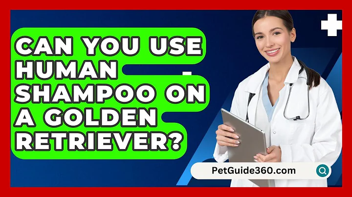 Can You Use Human Shampoo On A Golden Retriever? - PetGuide360.com