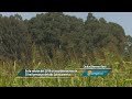 Segundo MOOC de agroecología