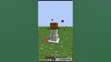 Minecraft Logic 🤔🤯Makes no sense