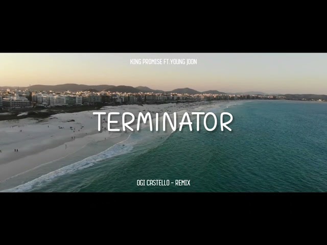 DJ SLOW - Terminator - Ogi Castello Remix!!! class=