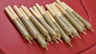 Could marijuana be legalized or decriminalized in NC? The answer is complicated.
