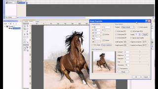Control the properties of the image in swishmax