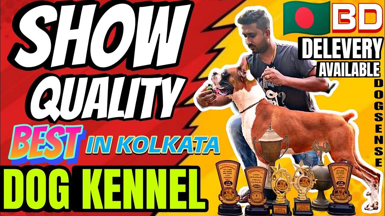 BEST DOG KENNEL IN KOLKATAALL INDIA AND BANGLADESH DELEVERYSHOW