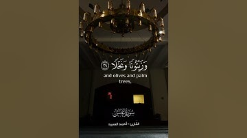 تلاوة منشاوية فاقت الوصف لسورة عبس - القارئ أحمد العبيد | ١٤٤٥ هـ