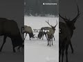 Nature's Drama: Predation, Competition & Symbiosis #facts