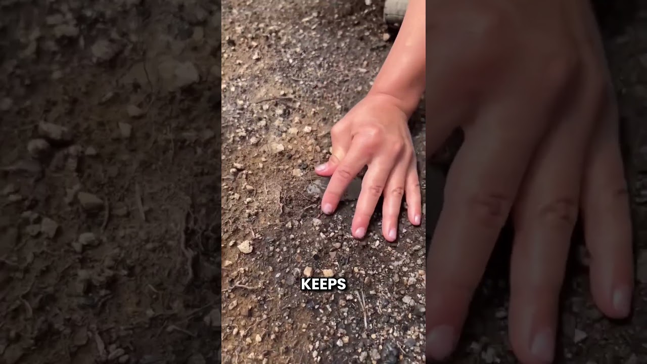 Она нашла гигантский кристалл в грязи 💎 😲