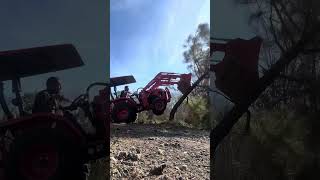 Tree Removal with 25hp Kubota L2502