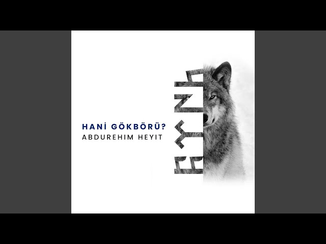 Hani Gökbörü?