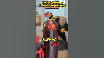 Brew yourself a fabulous California Common Steam Beer | Grain to Glass Recipe | CC13