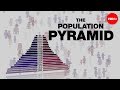Population Pyramids and Demographic Trends Across Countries