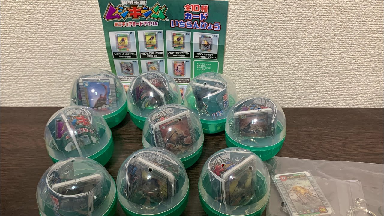 柊*様 ムシキング 甲虫王者ムシキング ミニチュアカードアクリル 1弾 全集開封レビュー