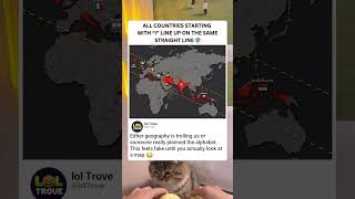 This Cant Be Real シ