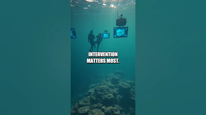 The Silent Signals Beneath the Sea