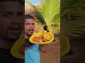 Vamos repor frutas para os pássaros e a natureza agradece #foryou #deustemumapalavrapravoce
