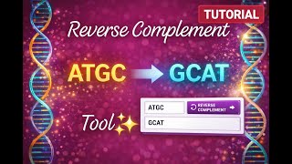 Reverse Complement: ATGC ➝ GCAT Tool Guide