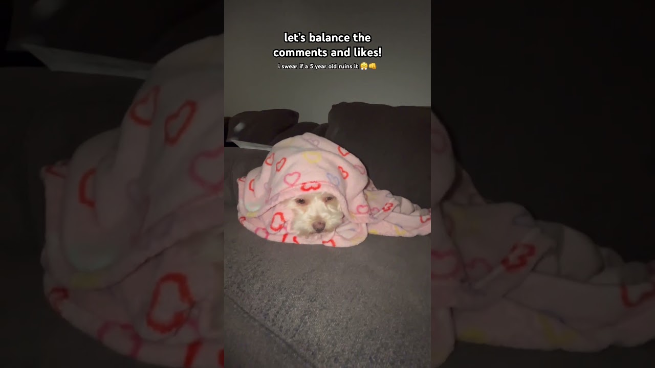 let’s balance the comments and likes! 