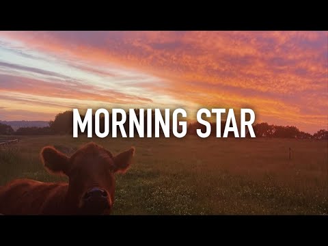 (FREE) Morgan Wallen x Shaboozey Type Beat - "Morning Star"