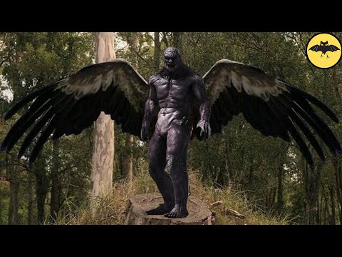 El Hombre Con Alas Que Se Lleva a las Personas.