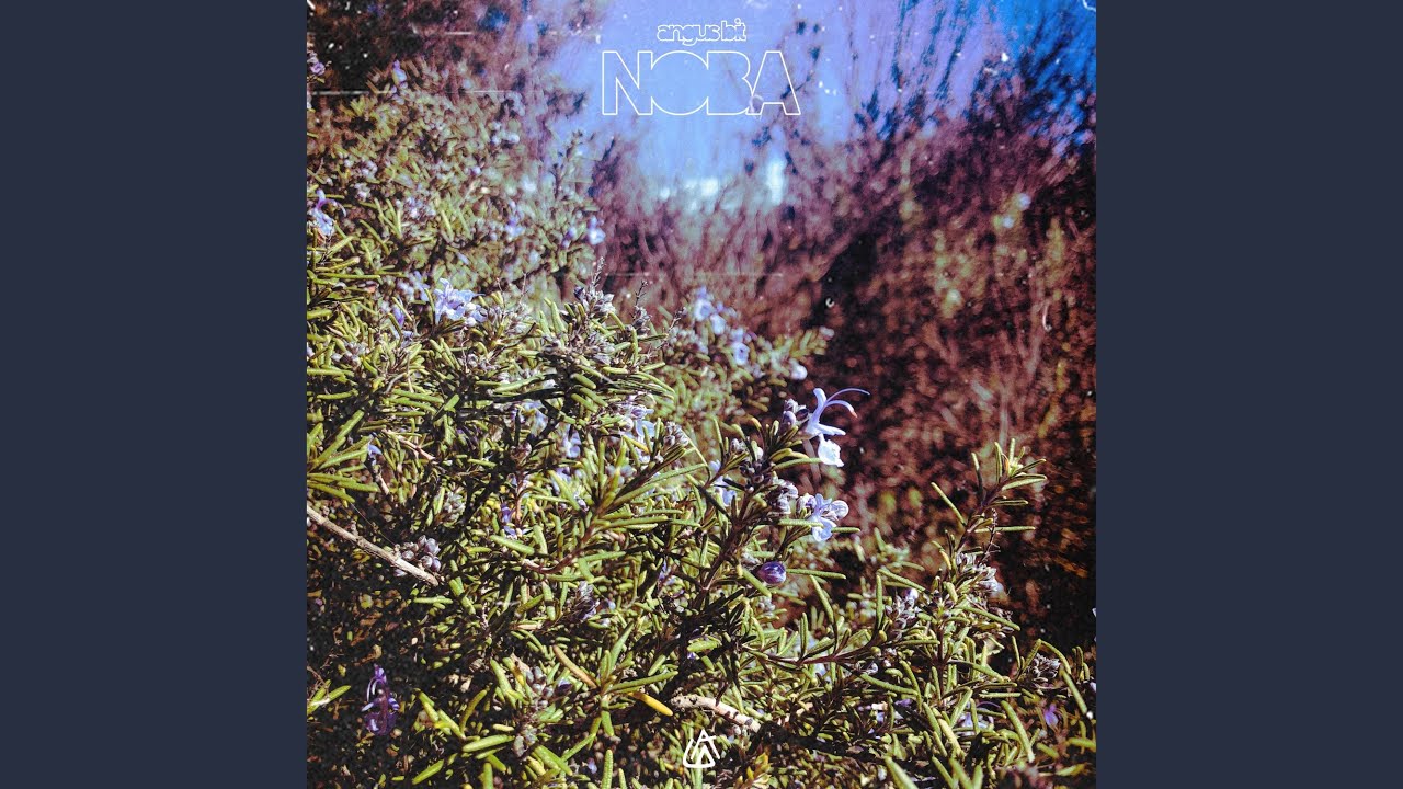 在 YouTube 上观看 Forest 在 YouTube 上观看 Forest