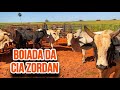 FECHANDO A BOIADA zordan PARA O TREINO de rodeio