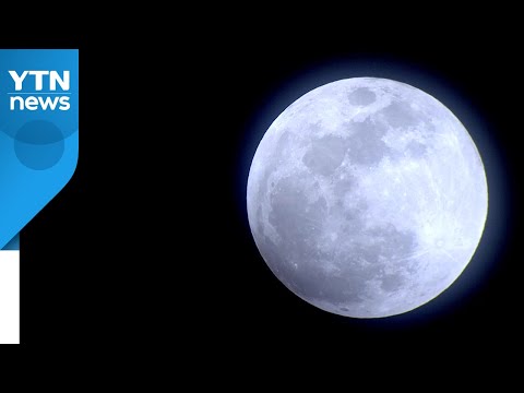 핼러윈 데이에 온 블루문·미니문...축제 대신 달맞이 / YTN