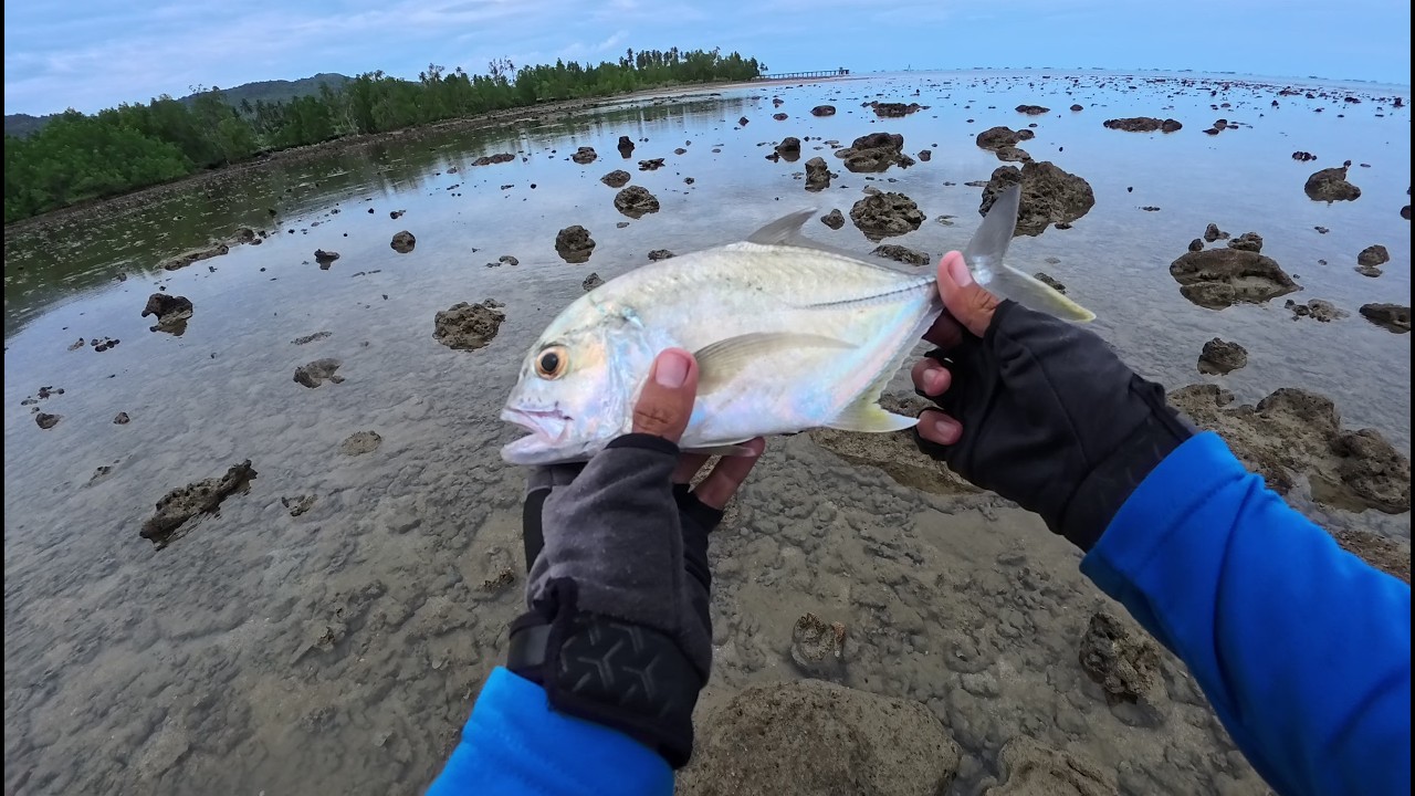 Mancing santai di hari cerah, full jigging, sekalian menjelajah alam pesisir laut Kotabaru
