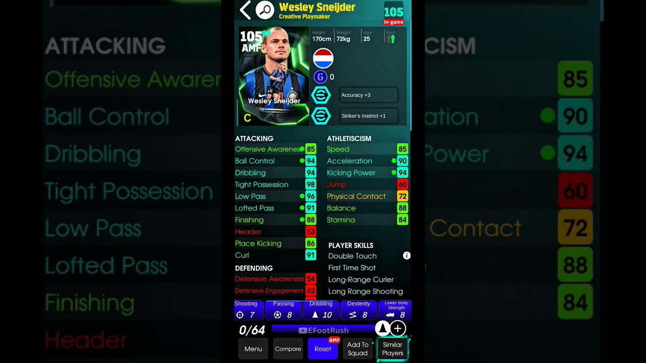 Wesley Sneijder best training 🔥 