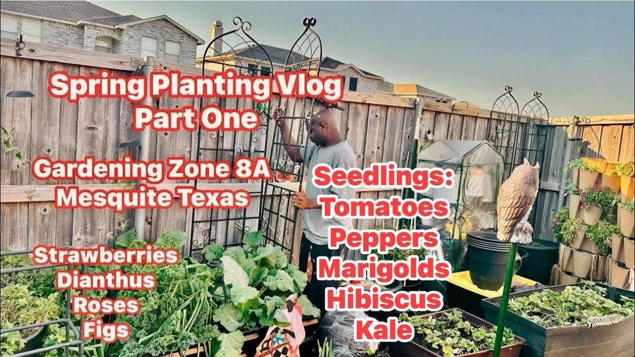 How To Grow A Spring Garden Working Only 30 Minutes A Day Vlog! Part 1 