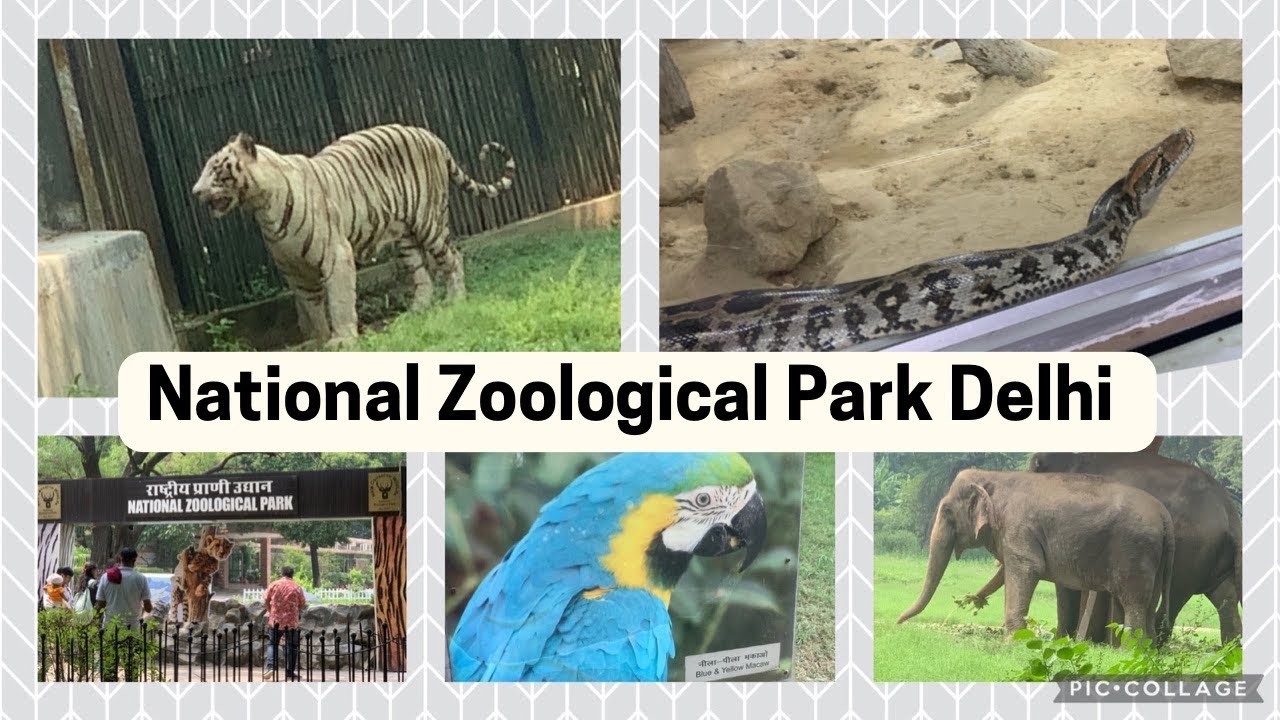National Zoological Park Delhi Online Ticket Booking Guide Zoo national-zoological-park-delhi-online-ticket-booking-guide-zoo