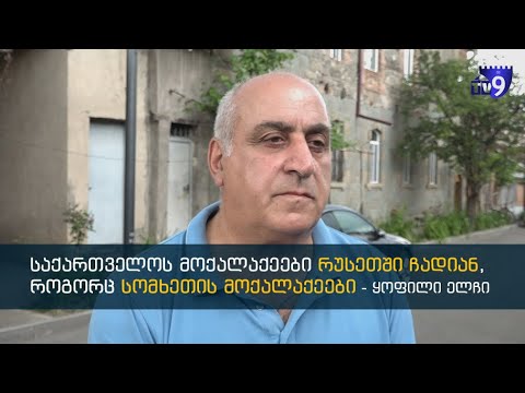 ორმაგ მოქალაქეობაზე ხელისუფლებამ თვალი შეგნებულად დახუჭა - საქართველოს ყოფილი ელჩი სომხეთში