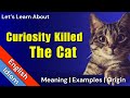 Curiosity killed the cat meaning  idioms in english