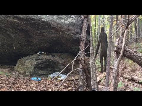 He Discovers The Lair Of Bigfoot And Is Told LOUD AND CLEAR He Is NOT Welcome