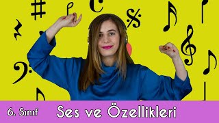 6. SINIF FEN BİLİMLERİ | SES VE ÖZELLİKLERİ (Animasyon)