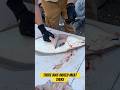 Halibut fillets are a beautiful thing