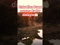 HIDIRELLEZ DUASI#hıdırellez#viral#hızır #tevekkül#umut#şükür#keşfet #shorts #trending#fyp#shortvideo