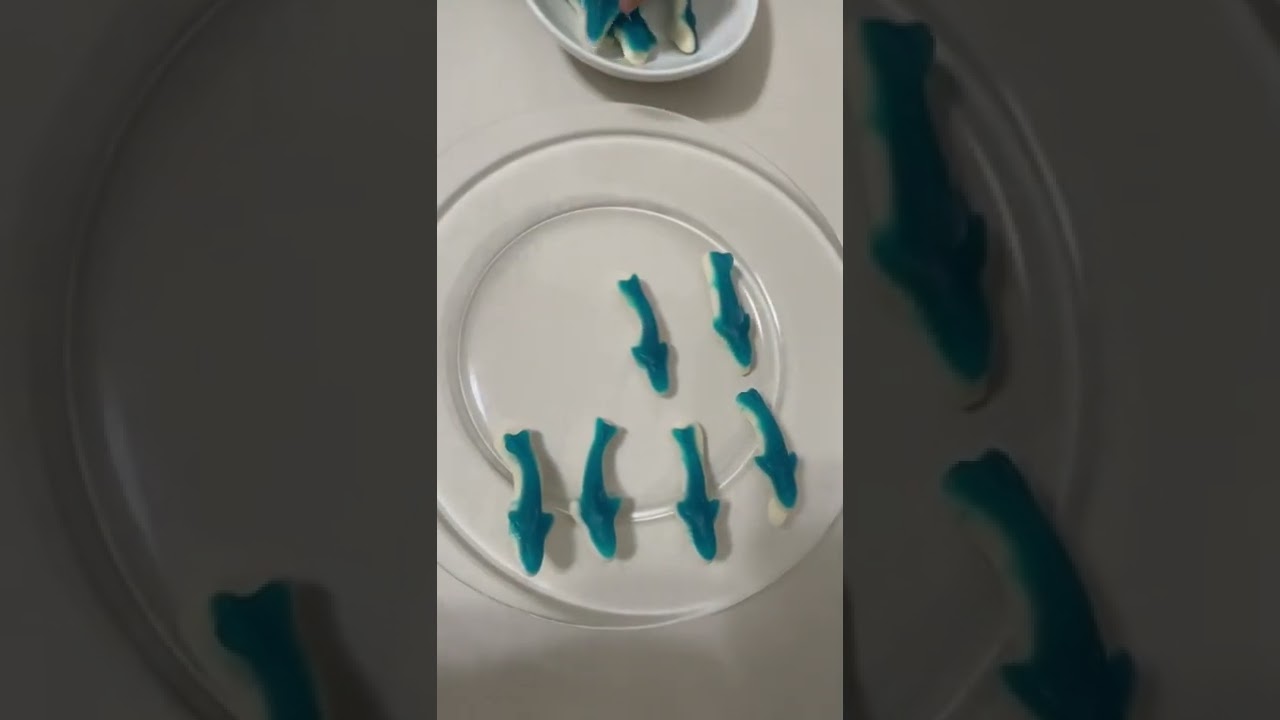 How Many Sharks In The Small Bowl shorts trending food sharks how-many-sharks-in-the-small-bowl-shorts-trending-food-sharks